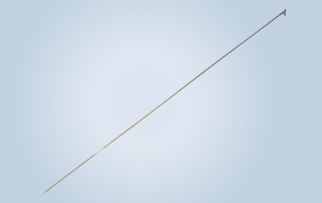 microTargeting™ Electrode