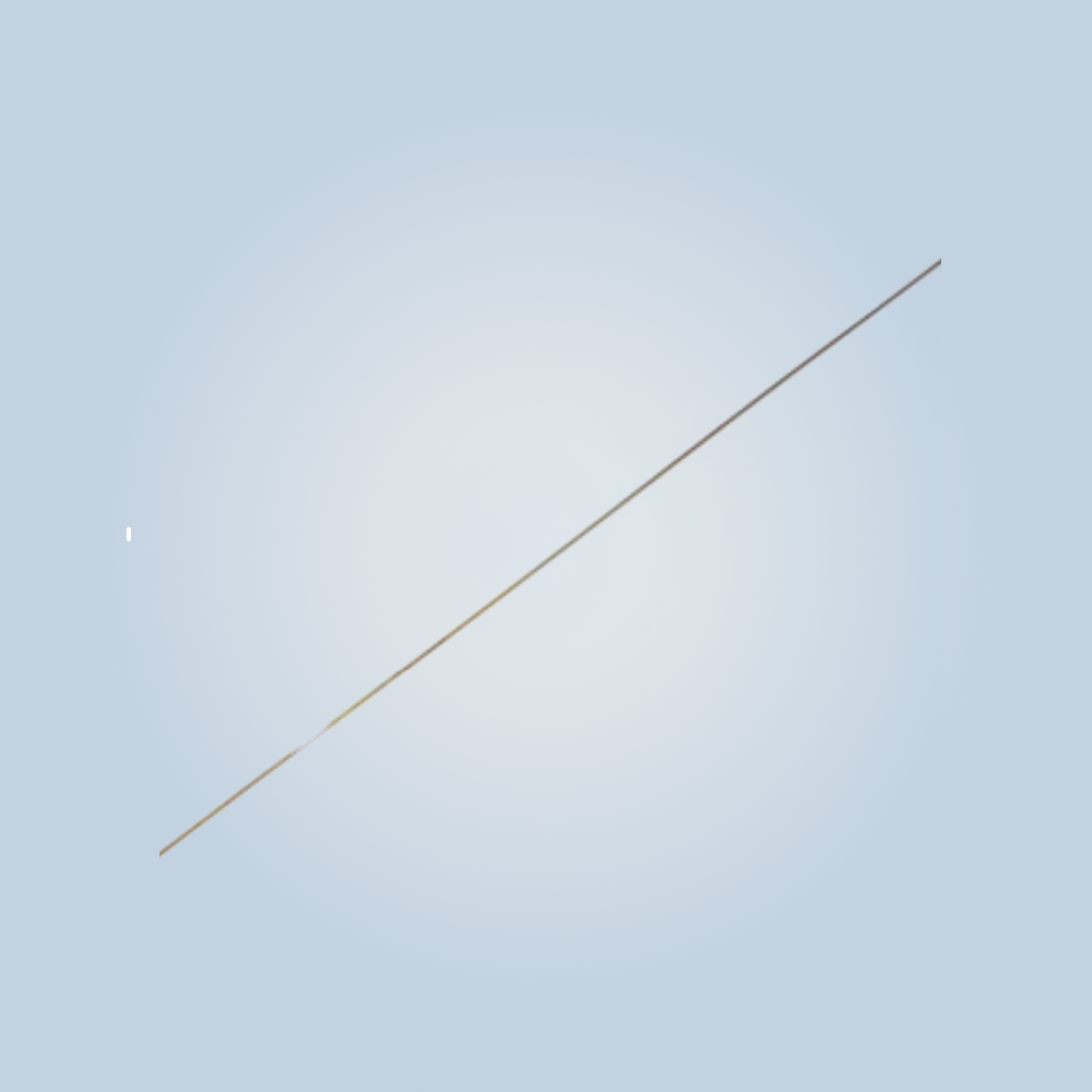 microTargeting™ Electrodes