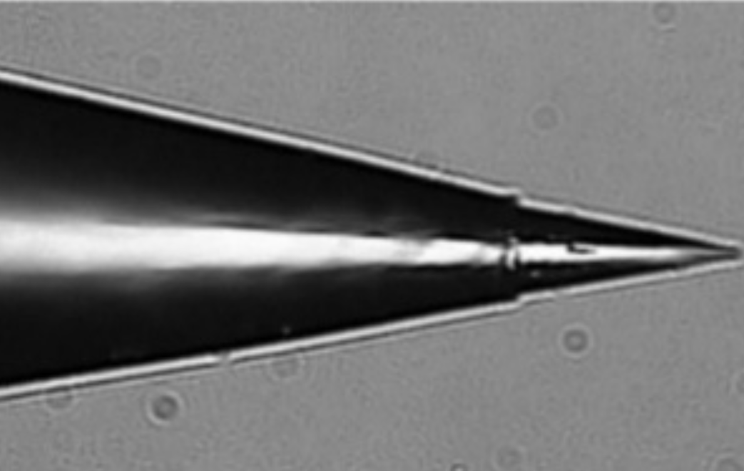 Tip(enlargement)